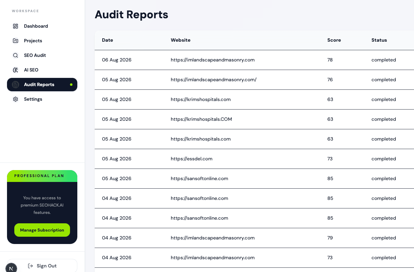 SEOHACK digital marketing audit dashboard with website findings